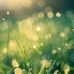 Lichtgeschwindigkeit Plutos Sonnenumlaufbahn