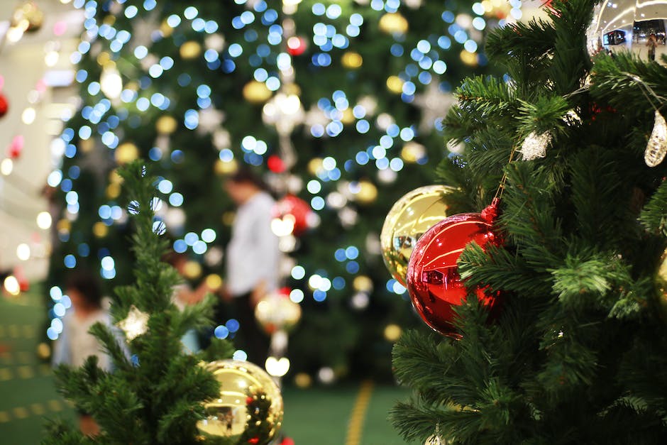  Am Tannenbaum leuchten die Kerzen