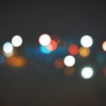 Warum Hornissen nachts das Licht aufsuchen